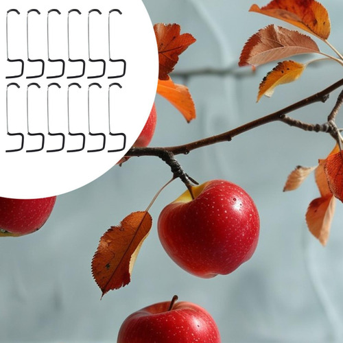 12x Frutal De Frutas Ramificador De Rama Extracción 18 Cm