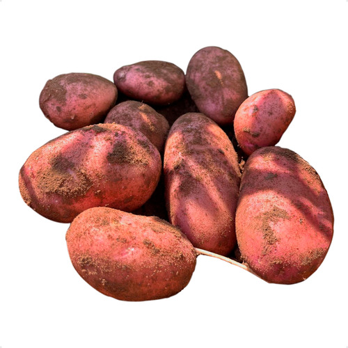 Só Batata Asterix Especial Para Pure Nhoque Fritura 5kg