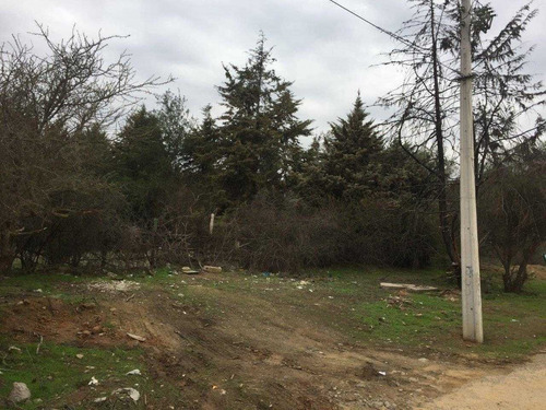 Imagen 6 de 7 de Villa Alemana Peñablaca