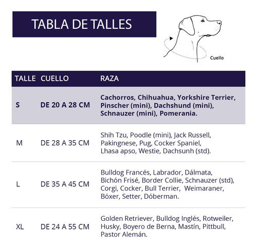 Imagen 4 de 8 de Collar Regulable Para Perro Talle S Lola Pets