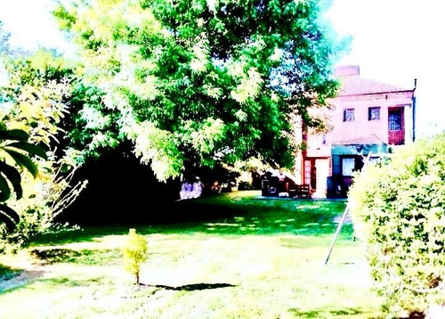 Alquiler Divina Casa De 3 Dormitorios Con Amplio Jardín En Shangrilá!!