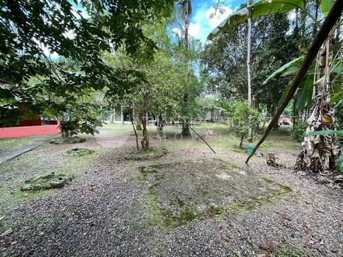 Imagem 5 de 21 de Chácara À Venda, Rio Do Nunes, Antonina - Pr - 775