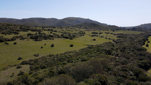 Imagen 4 de 9 de Chacra 5ha Lavalleja Aguas Blancas Fraccionamiento (ref: Atm-6838)