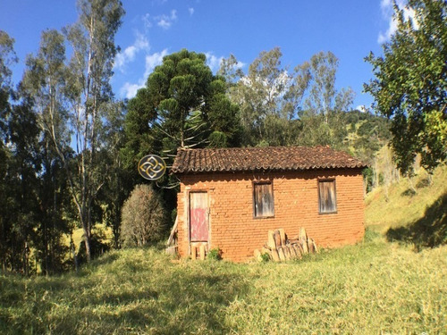 Sítio Em Socorro - St00002 - 68125252