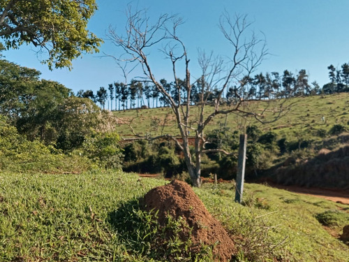 Imagem 12 de 21 de 03t- Venha Usufluir Da Cachoeira No Quintal Da Sua Casa!!