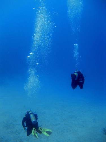 Cuadro 20x30cm Buzo Diver Ocean Mar Deporte Pasion Buceo M9