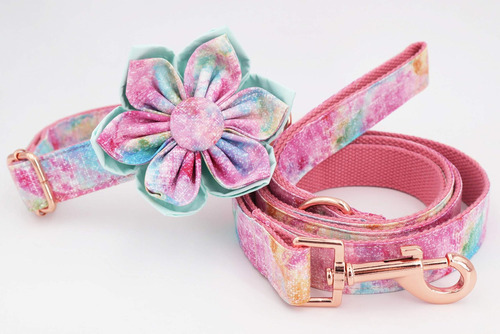 Lindo collar de perro, collar de perro para niña con cuello