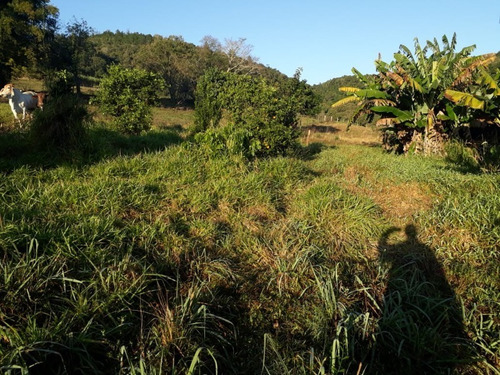 Chácara 7.800 M² - Fazenda Conceição - Gravataí - Rs - 2479 - 68818720