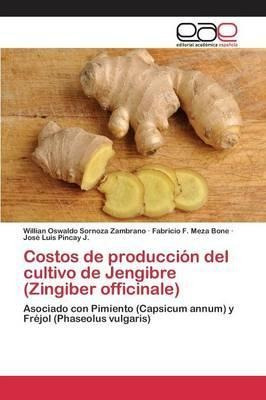 Costos De Produccion Del Cultivo De Jengibre (zingiber Of...