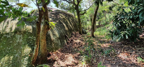 Imagem 14 de 14 de Oportunidade Terreno Area Nobre Em Barra Guaratiba-rj (4223)