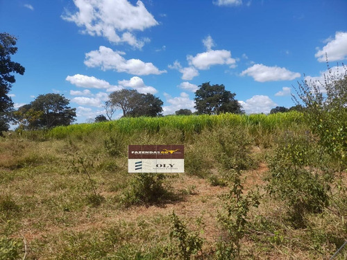 Imagem 9 de 15 de Chácara A 1.200m Do Setor Vale Dos Sonhos ! 3.3 Hectares ! - 302
