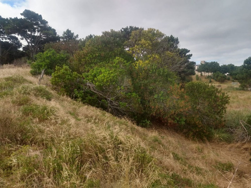 Terreno En Venta En Las Gaviotas