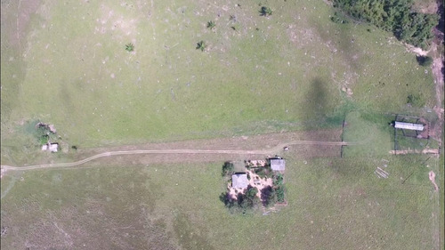 Fazenda 500 Alqueires (1210 Hectares), Juara - Mt