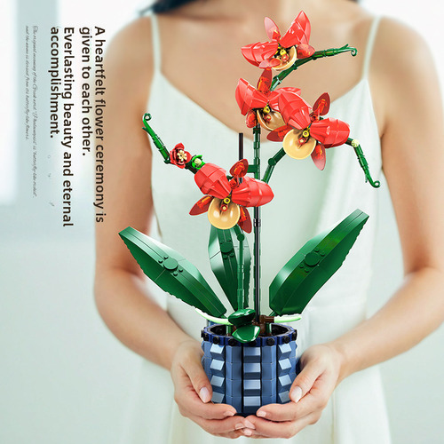 Set De Construcción Orquídea Mariposa Phalaenopsis Eterna