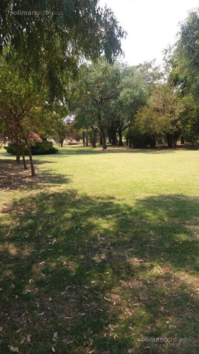 Excelente Campo De 35 Hectáreas En Mercedes