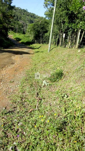 Chácara, São Lourenço, São Lourenço Da Serra - R$ 130 Mil, Cod: 4017 - V4017