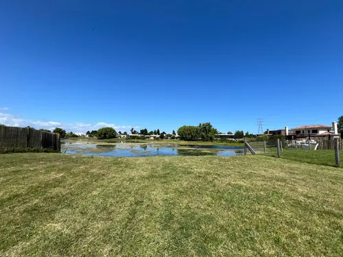Viñedos De La Tahona, Último Fondo Al Lago