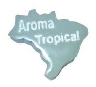 Forma De Silicone Aroma Tropical Ib-871/s-169