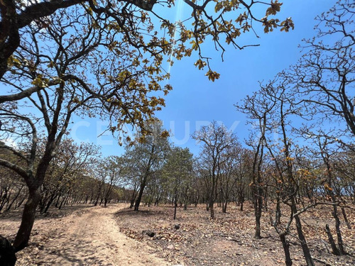 En Venta!!! Terreno Ubicado En Josefino De Allende, Jalisco.