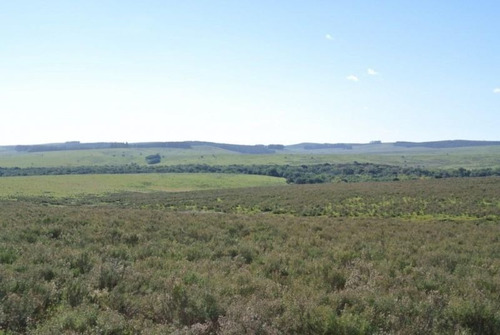 Campo En Venta En Varela