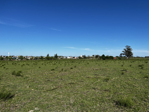 Vendo Terreno De 1,5 Hectárea En San Justo, Entre Ríos. 