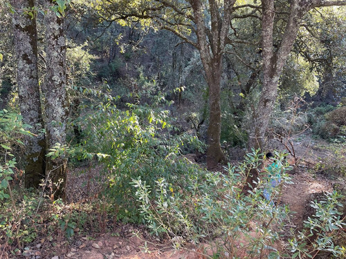 Terreno En Venta En Santa Rosa Con Acceso Vehicular Y Ojo De