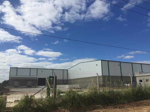 Imagen 8 de 25 de Fracción Industrial 4 Ha. Galpón 12.800 M² Cub. - Carlos Spegazzini