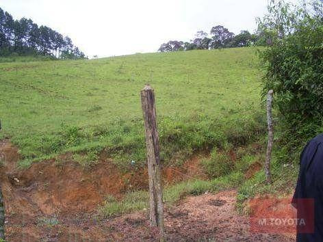 Imagem 10 de 20 de Sítio À Venda, 163000 M² Por R$ 650.000,00 - Vargem Do Salto - Ibiúna/sp - Si0001