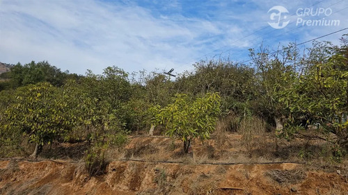 Sitio En Venta En San Pedro - Lomas Del Cajon Uf 4.200