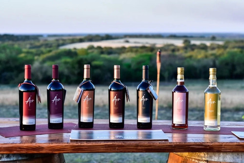 Vino Ara Malbec - Año 2021 - Bodegas Los Aromitos