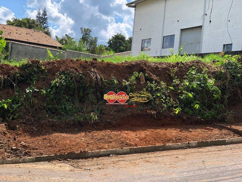Imagem 2 de 2 de Terreno Industrial - Bairro Da Ponte - Te0274
