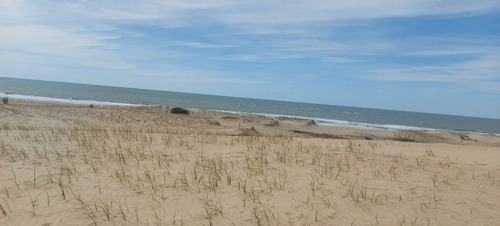 Imagen 2 de 7 de Terreno. Playa La Viuda. Punta Del Diablo