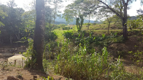 Imagen 9 de 10 de Rancho La Flor