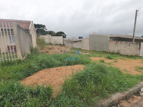 Imagem 9 de 25 de Terreno 12m X 30m, Disponível Para Venda No Bairro Gralha Azul, Na Fazenda Rio Grande! - Te00103 - 70075859