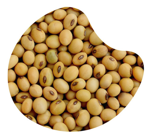 Porotos De Soya 500 Gr Almendría