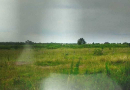 Imagen 5 de 8 de Tierras Para Engorde De Ganado En Guarico