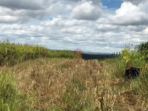 Imagem 3 de 4 de Sítio À Venda, 72600 M² Por R$ 900.000,00 - Gleba Ribeirão Alegre - Marialva/pr - Si0002