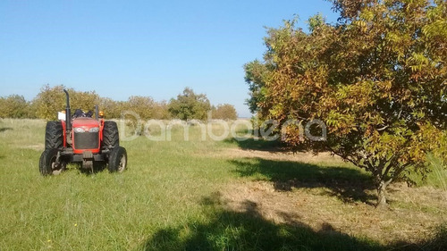 Imagen 9 de 25 de Terreno Campo En Venta Ubicado En Punta Indio, Resto De La Provincia