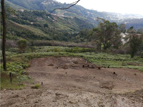 Terreno En Venta Urb Club De Campo 1010m2 San Antonio De Los Altos