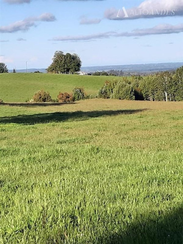 Imagen 7 de 19 de Sitio En Venta En Los Muermos