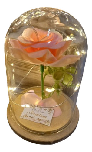 10 Souvenir Rosa Encantada 10 Cm