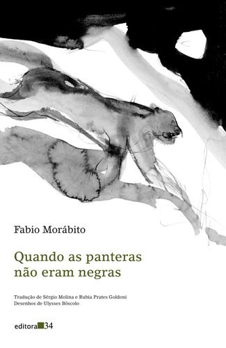 Quando as panteras não eram negras, de Morábito, Fabio. Editora 34 Ltda., capa mole em português, 2008