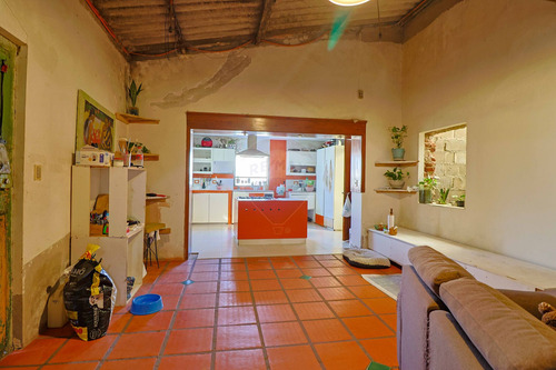 Venta De Quinta Con Casa, Montevideo, 3,7 Hect.