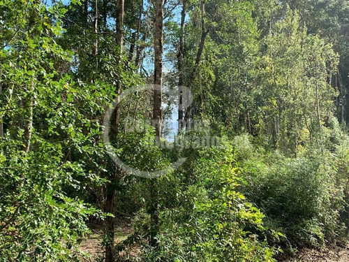 Imagen 6 de 7 de Sitio En Venta En Puerto Octay
