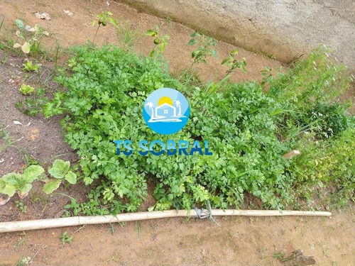 Imagem 10 de 10 de Terreno Em Praia Para Venda, Jaconé - 448_1-1683178