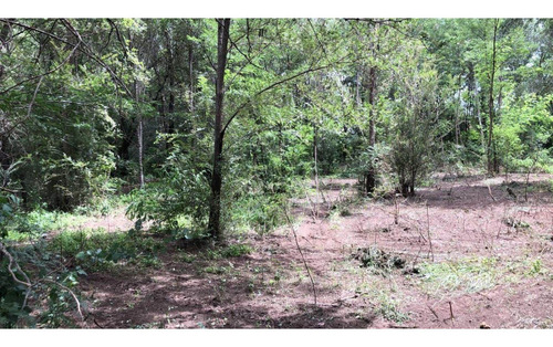Imagen 2 de 6 de Oportunidad!! Lote En Comuna San Roque Recibe Vehículo!!