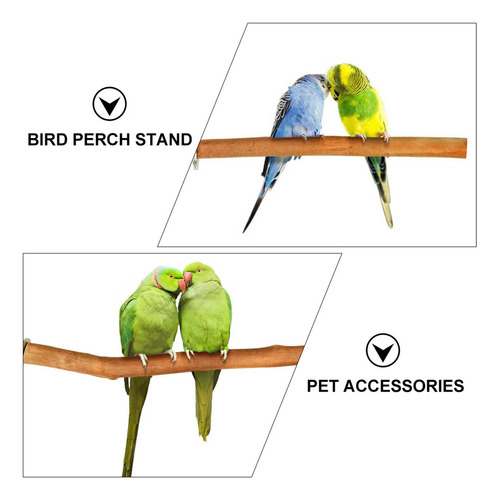 - Percha Para Pájaros, Plataforma, Palo, Loro