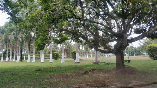 Lote Plano En Conjunto Campestre Privilegio 1 (18767).