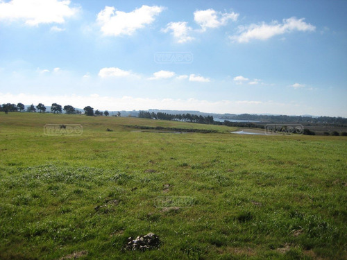 Venta Terreno Lote Barrio Cerrado Privado Laguna De Los Cisnes Vista Laguna Del Sauce Punta Del Este Maldonado