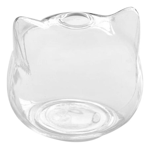 Cabeça De Gato Planta Hidropônica Vaso De Flores